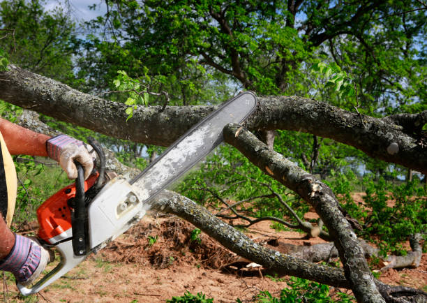 Lawn Irrigation Installation and Maintenance in Powderly, TX